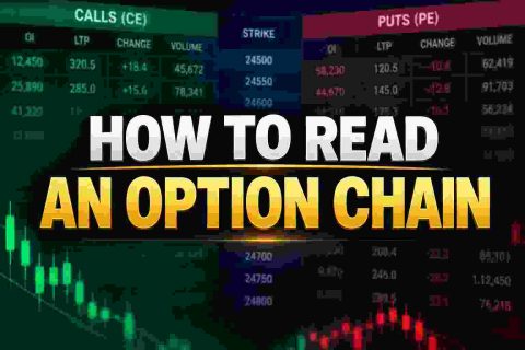 How to Read Option Chain