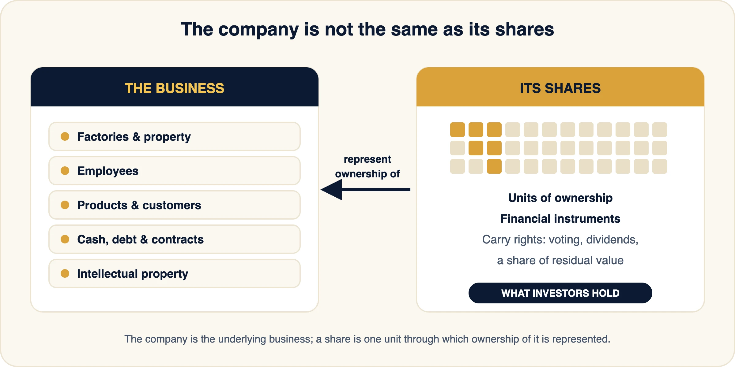 Comparison of the business, with its property, employees, products, customers, cash, debt and intellectual property, and its shares, which are units of ownership and financial instruments carrying rights such as voting, dividends and a share of residual value.